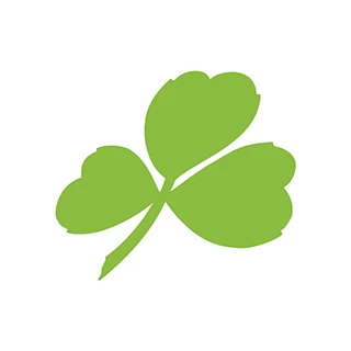Aer Lingus Kampagnekoder 