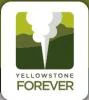 yellowstone.org