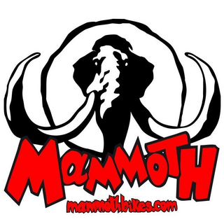 Mammoth Bikes Kampagnekoder 